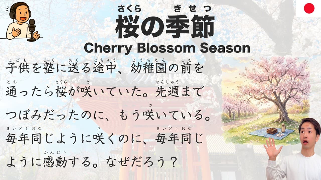 【Japanese Podcast】  A Japanese Guide to Hanami, Sakura & Spring